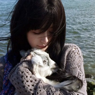 超龙珠英雄电影海报